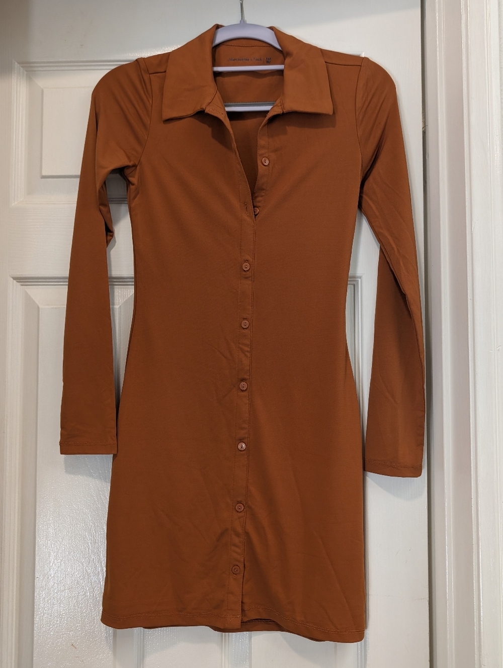 Abercrombie & Fitch Long-Sleeve Button Front Dress in Rust